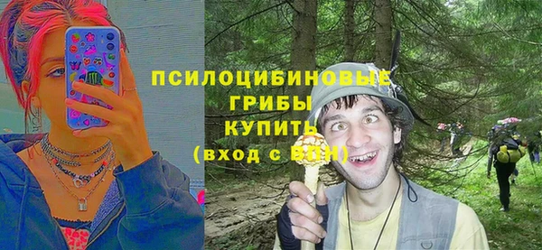 сатива Верхний Тагил
