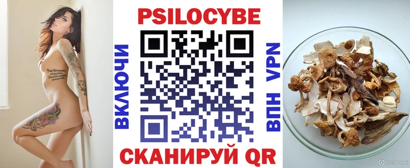 что такое   маркетплейс какой сайт  Псилоцибиновые грибы мухоморы  Губаха 