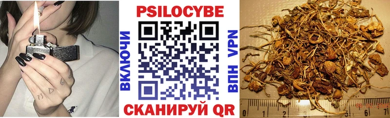 Галлюциногенные грибы мицелий Губаха